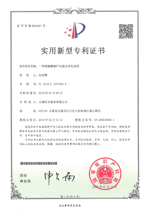 一種泡椒腌制產(chǎn)品廢水凈化系統(tǒng)專利證書